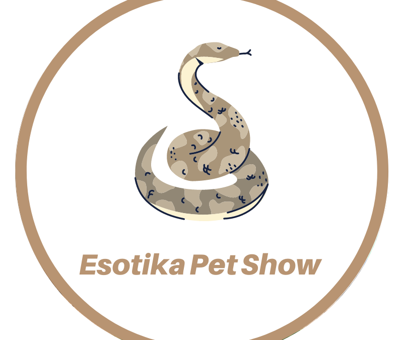 Esotika Pet Show Arezzo